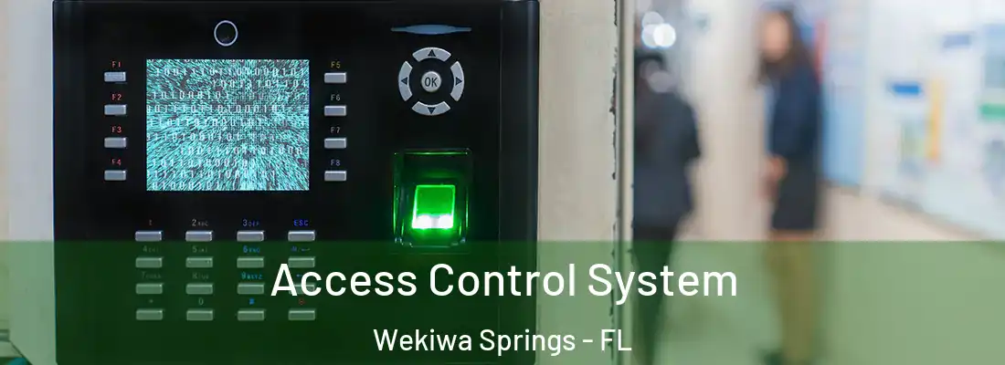  Access Control System Wekiwa Springs - FL