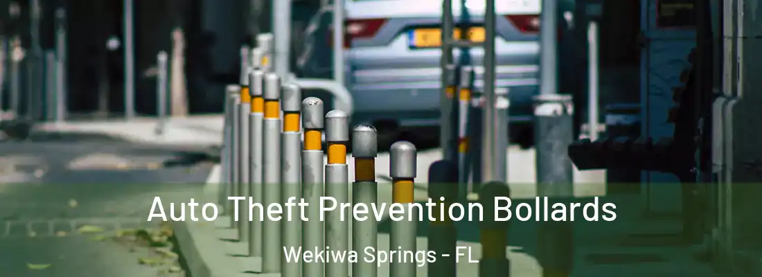  Auto Theft Prevention Bollards Wekiwa Springs - FL