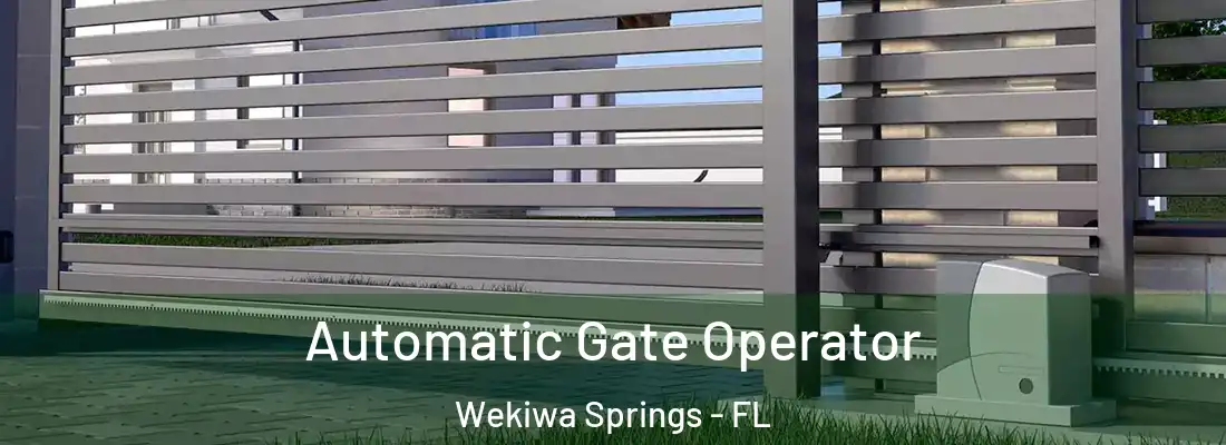  Automatic Gate Operator Wekiwa Springs - FL