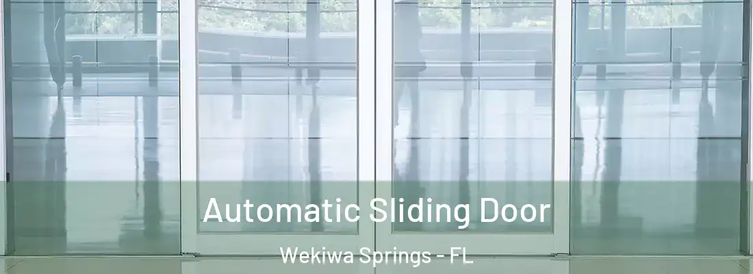  Automatic Sliding Door Wekiwa Springs - FL