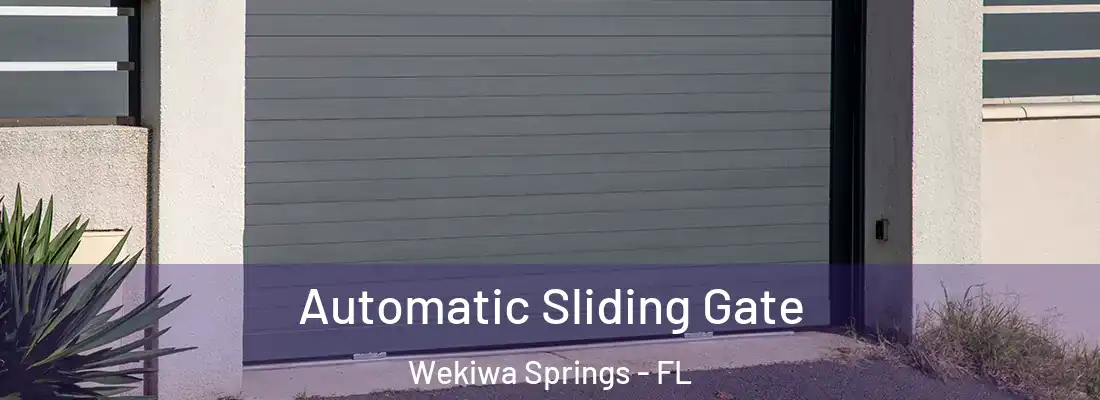  Automatic Sliding Gate Wekiwa Springs - FL