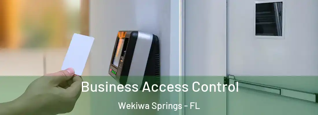  Business Access Control Wekiwa Springs - FL