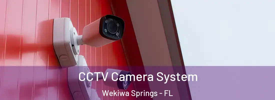  CCTV Camera System Wekiwa Springs - FL