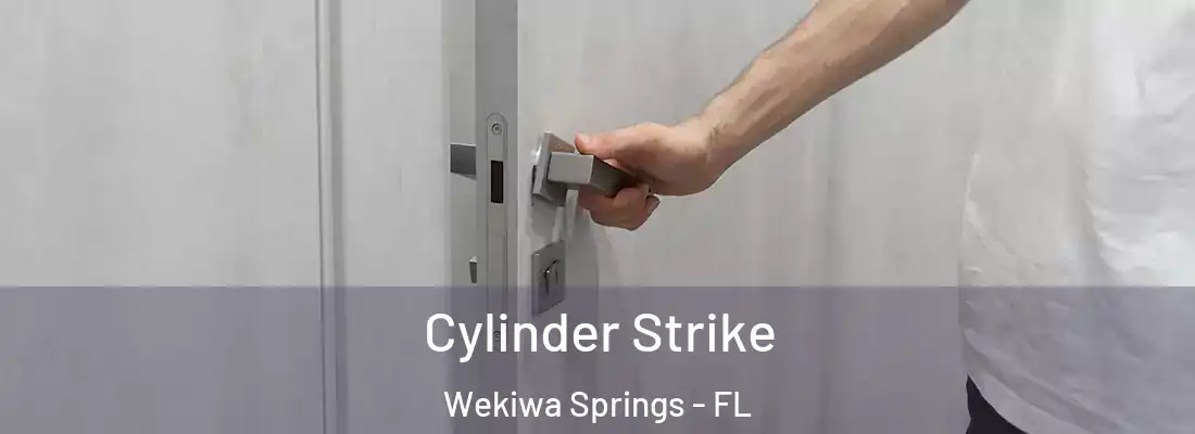  Cylinder Strike Wekiwa Springs - FL