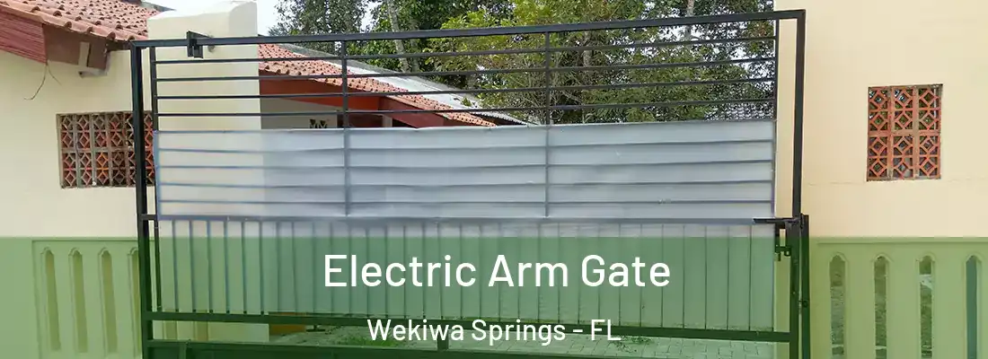  Electric Arm Gate Wekiwa Springs - FL