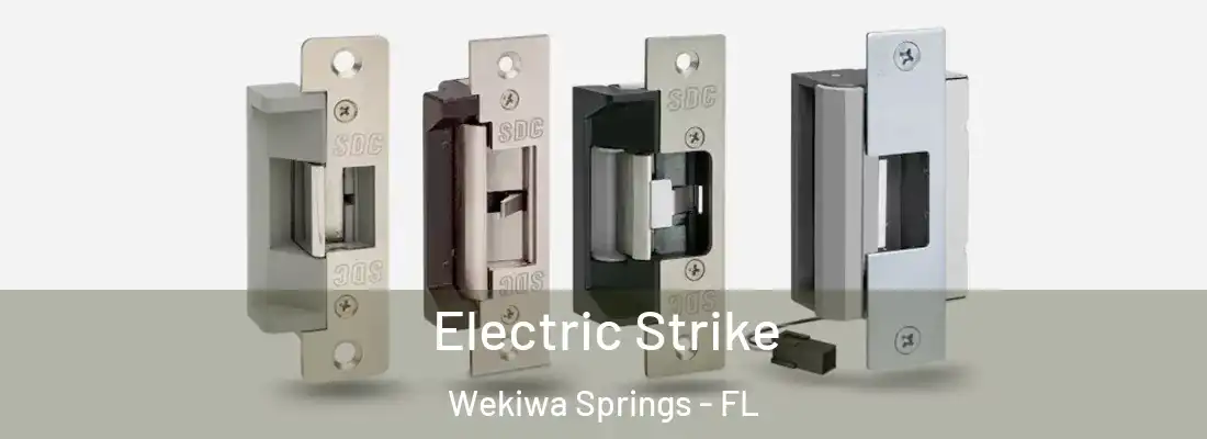  Electric Strike Wekiwa Springs - FL