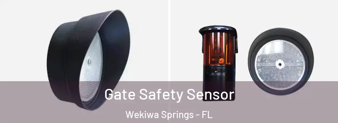  Gate Safety Sensor Wekiwa Springs - FL
