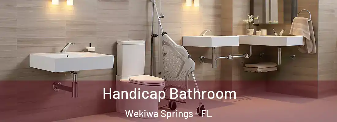  Handicap Bathroom Wekiwa Springs - FL