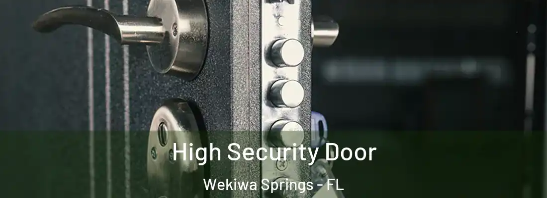  High Security Door Wekiwa Springs - FL