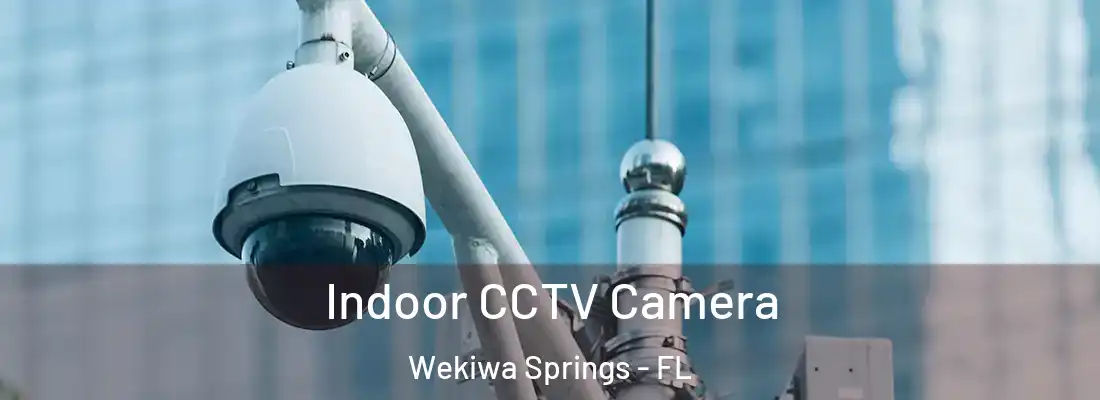  Indoor CCTV Camera Wekiwa Springs - FL