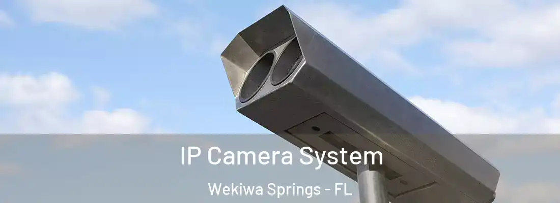  IP Camera System Wekiwa Springs - FL