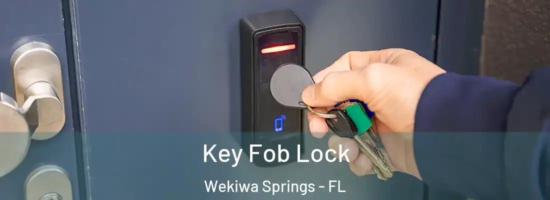  Key Fob Lock Wekiwa Springs - FL