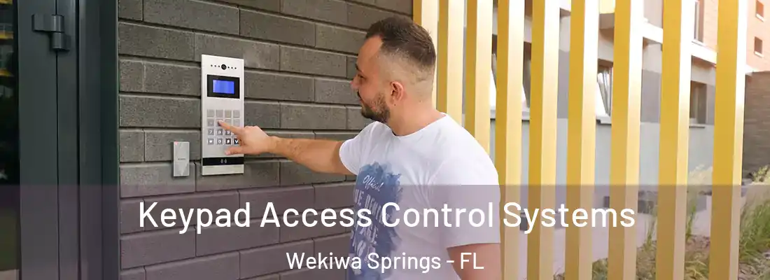  Keypad Access Control Systems Wekiwa Springs - FL