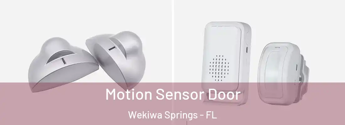  Motion Sensor Door Wekiwa Springs - FL