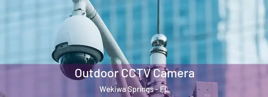  Outdoor CCTV Camera Wekiwa Springs - FL