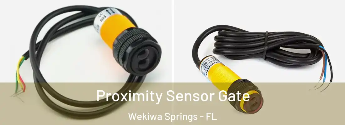  Proximity Sensor Gate Wekiwa Springs - FL