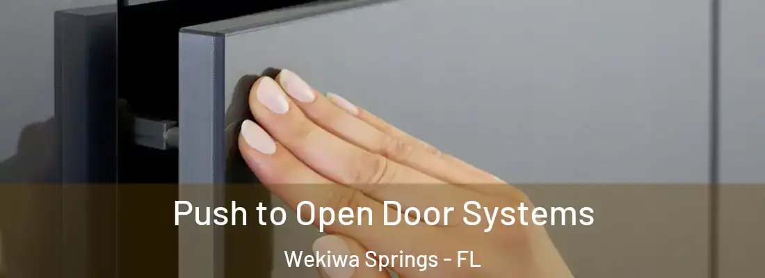  Push to Open Door Systems Wekiwa Springs - FL