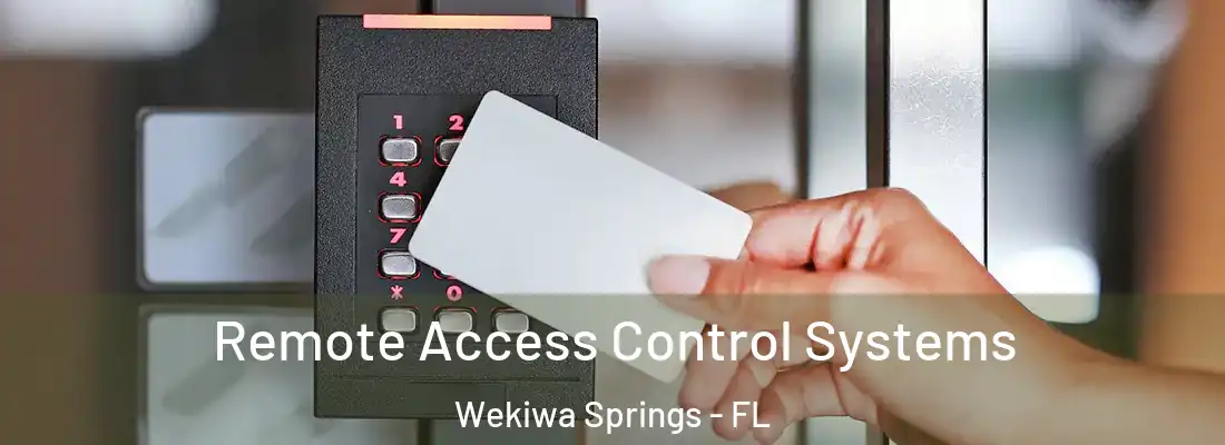  Remote Access Control Systems Wekiwa Springs - FL