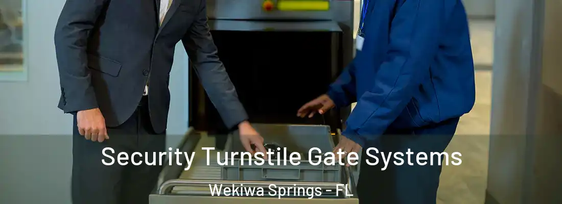  Security Turnstile Gate Systems Wekiwa Springs - FL